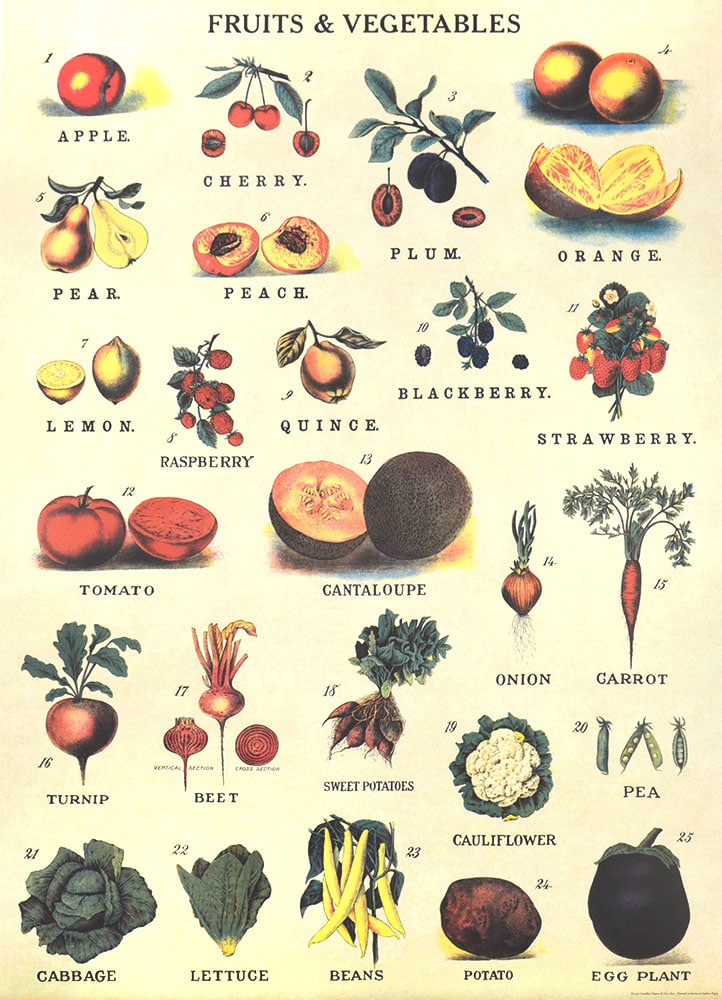 Affiche vintage  NATURE FRUITS ET LEGUMES Dimensions : 70 x 50 cm
